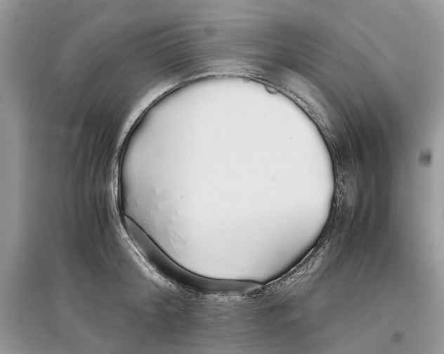 X0000097300804200803071751