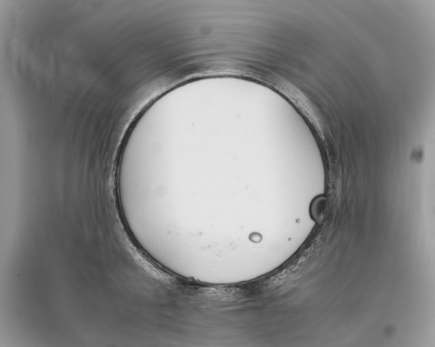 X0000097300805200803071751