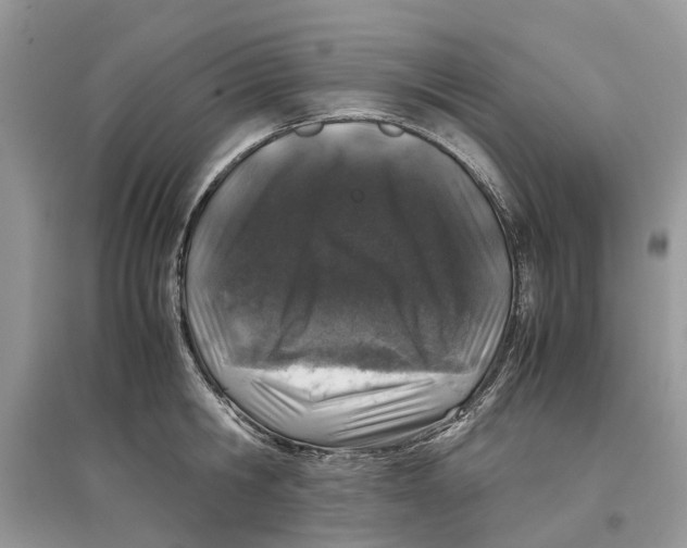 X0000097300806200803071751