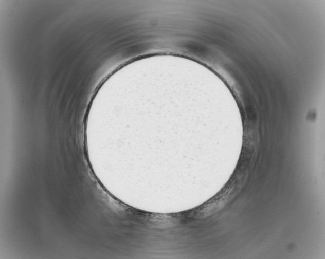 X0000097300807200803071751