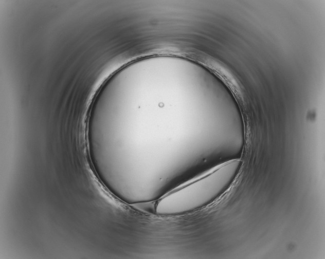 X0000097300808200803071751