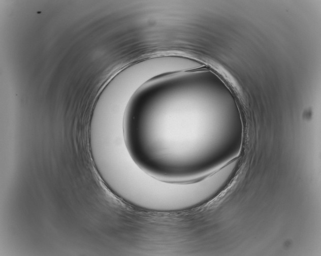 X0000097300809200803071751