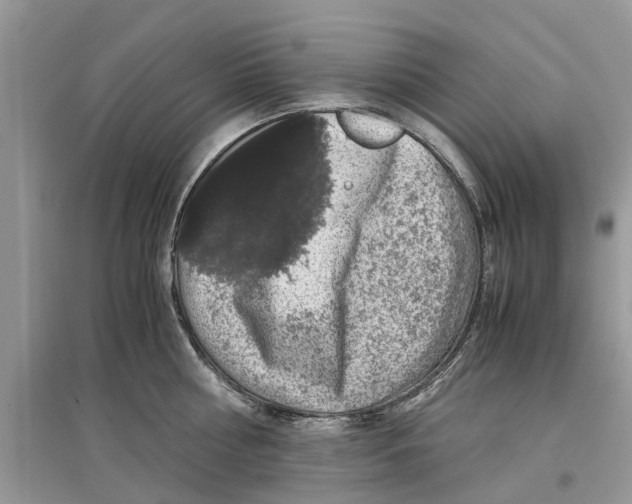 X0000097300810200803071751