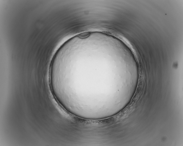 X0000097300811200803071751