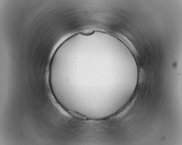 X0000097300812200803071751