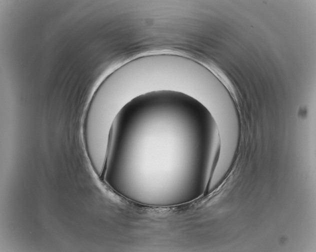 X0000097300813200803071751