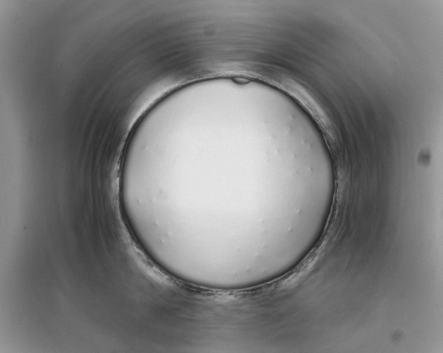 X0000097300814200803071751