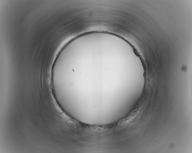 X0000097300815200803071751