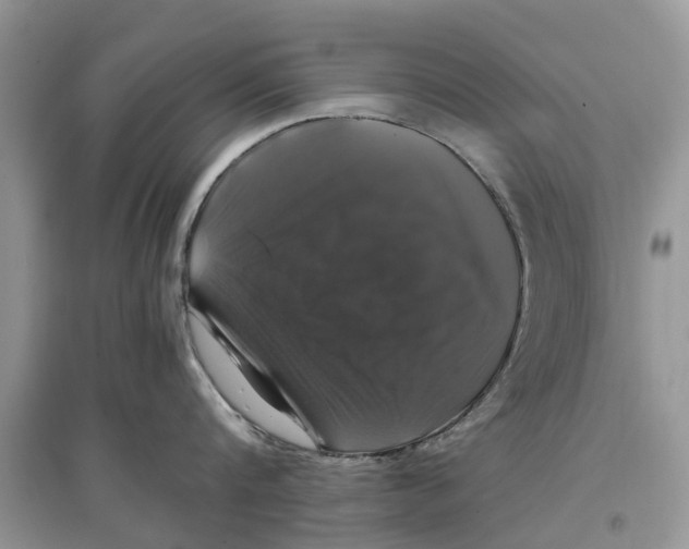 X0000097300816200803071751