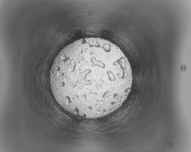 X0000097300817200803071750