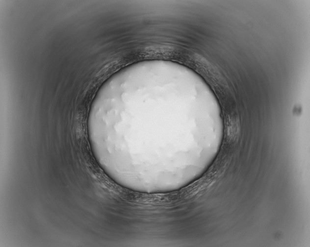 X0000097300819200803071750