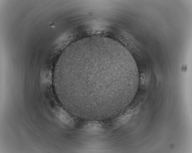 X0000097300820200803071750