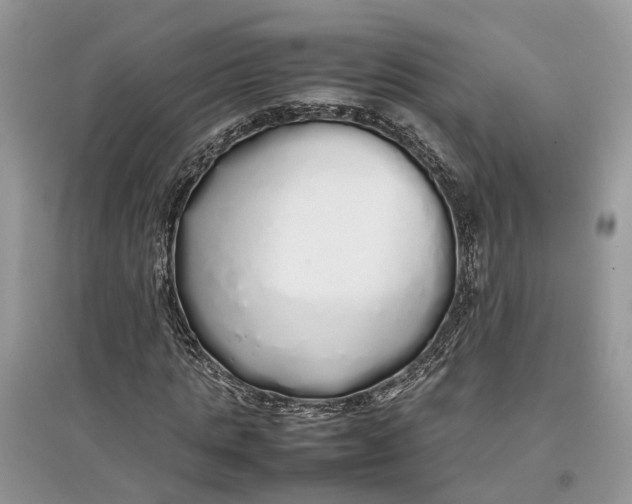 X0000097300821200803071750