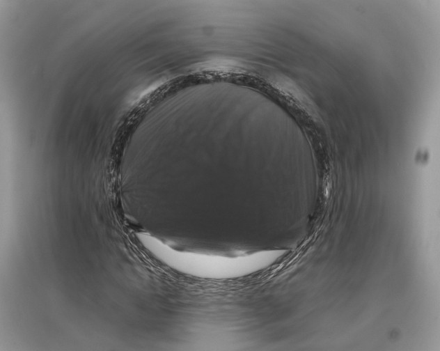 X0000097300822200803071750