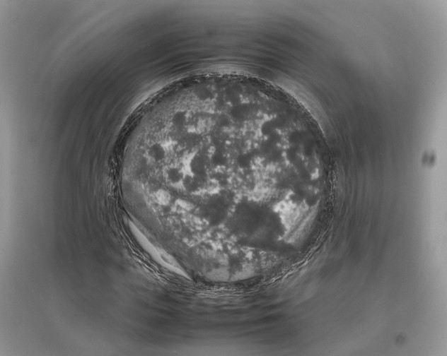 X0000097300823200803071750