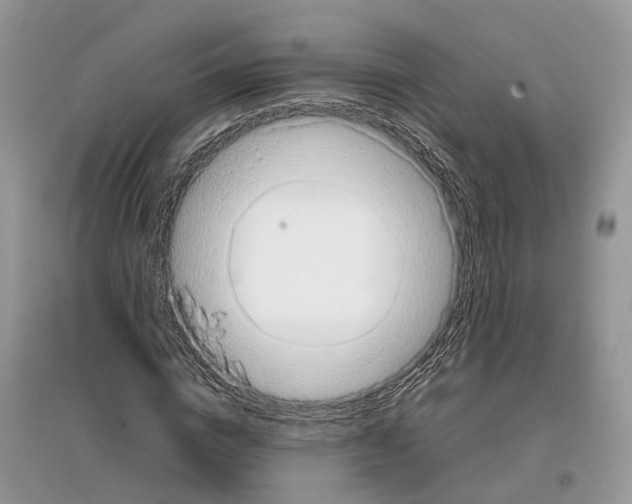 X0000097300824200803071750