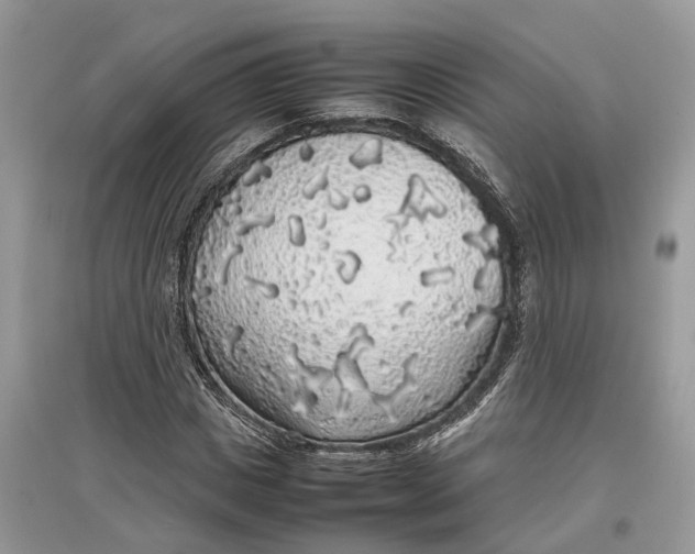 X0000097300825200803071750