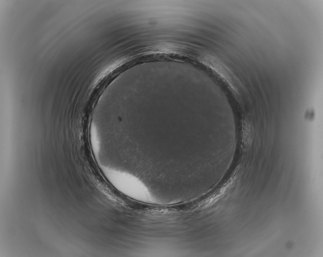 X0000097300826200803071750