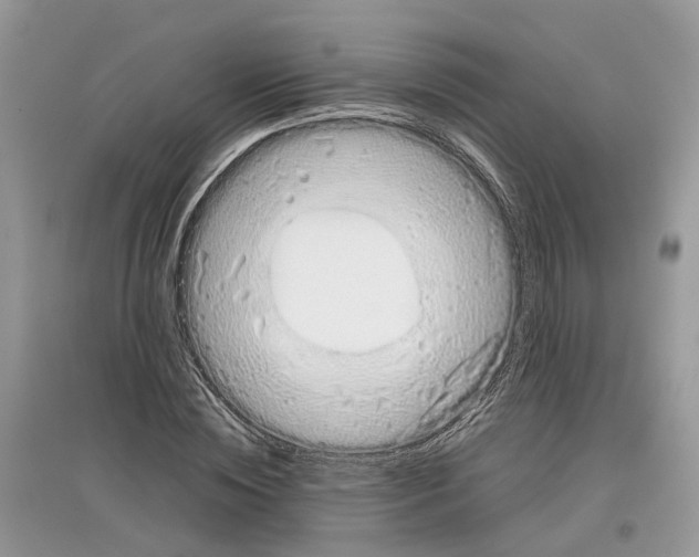 X0000097300828200803071750