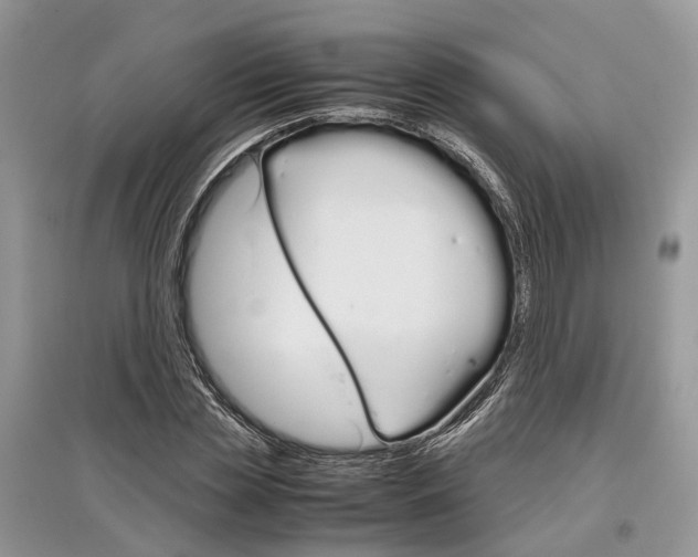 X0000097300829200803071750