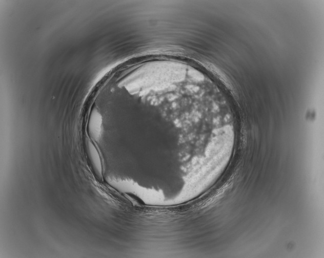 X0000097300830200803071750