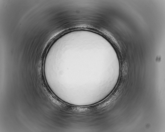 X0000097300831200803071750