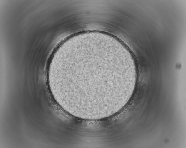 X0000097300832200803071750