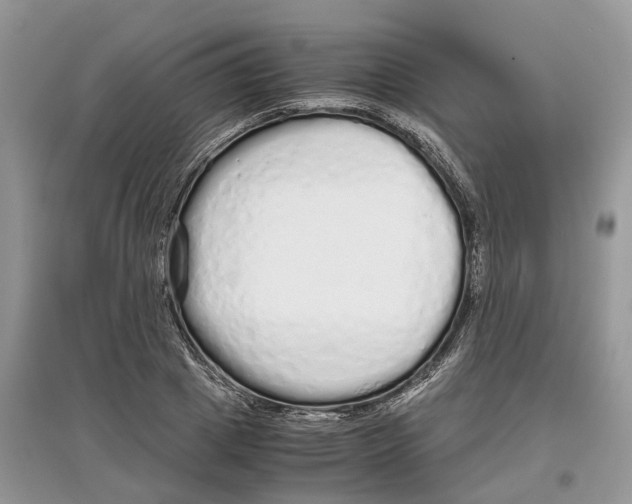 X0000097300833200803071751