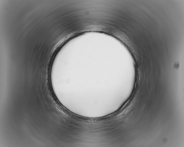 X0000097300834200803071751