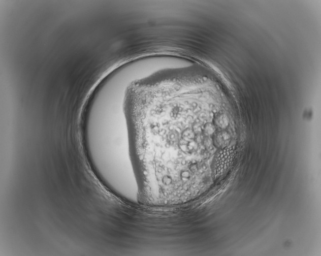 X0000097300835200803071751