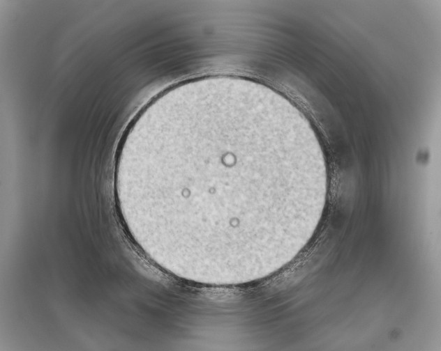 X0000097300836200803071751