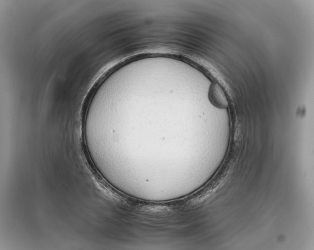 X0000097300837200803071751