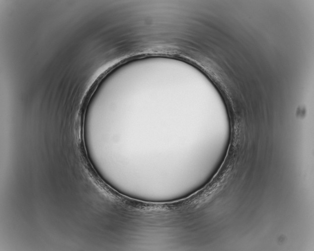 X0000097300838200803071751