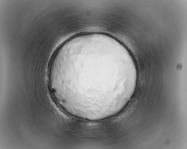 X0000097300839200803071751