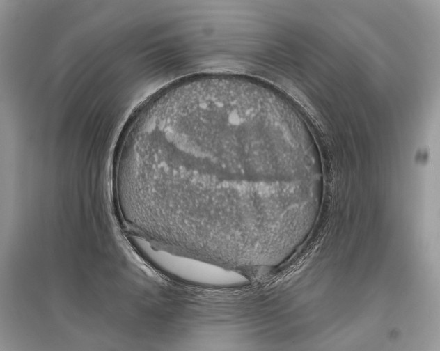 X0000097300840200803071751