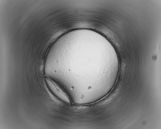 X0000097300841200803071751