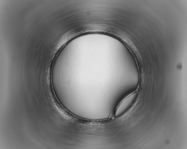 X0000097300842200803071751