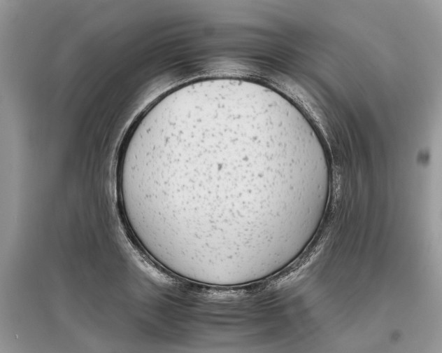 X0000097300843200803071751