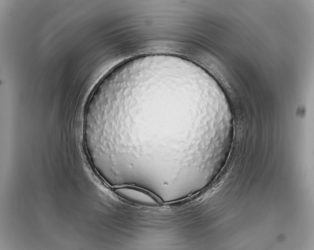 X0000097300844200803071751