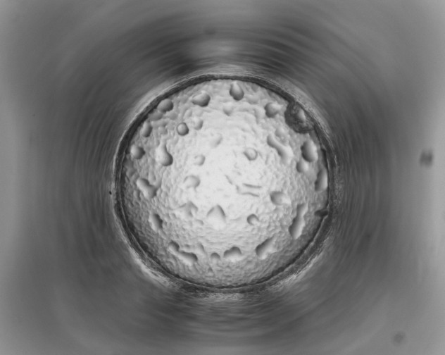 X0000097300845200803071751