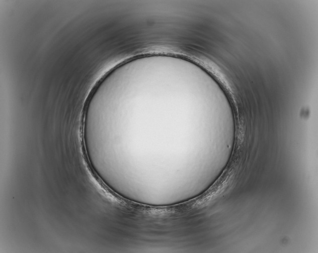 X0000097300847200803071751