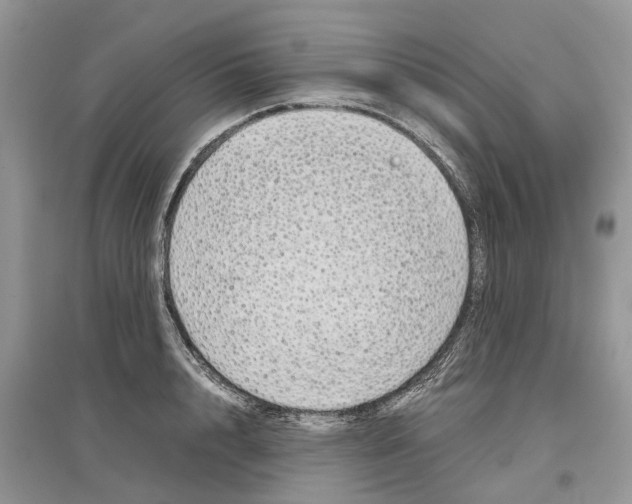 X0000097300848200803071751