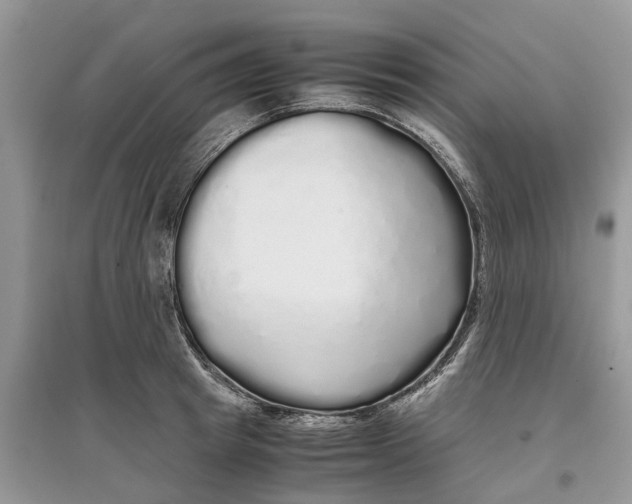 X0000097300849200803071751