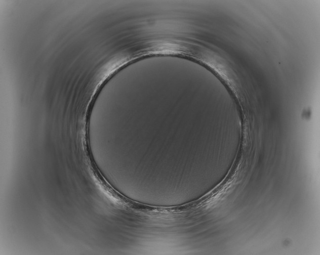 X0000097300850200803071751