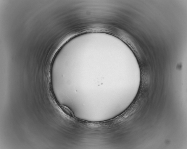 X0000097300852200803071751