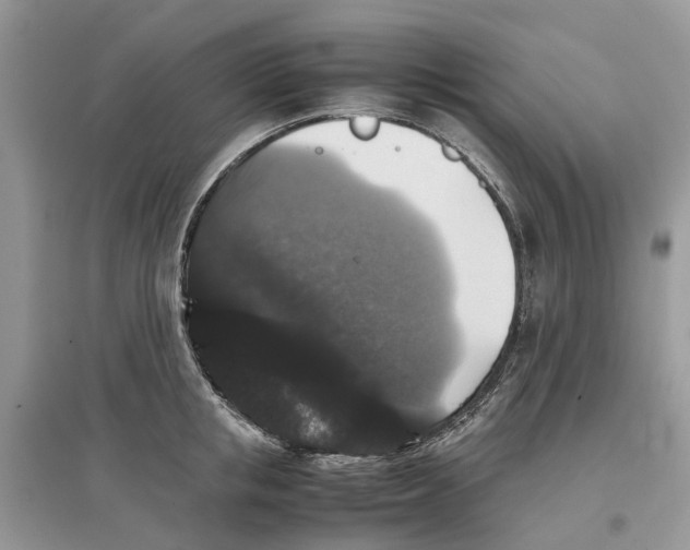 X0000097300853200803071751