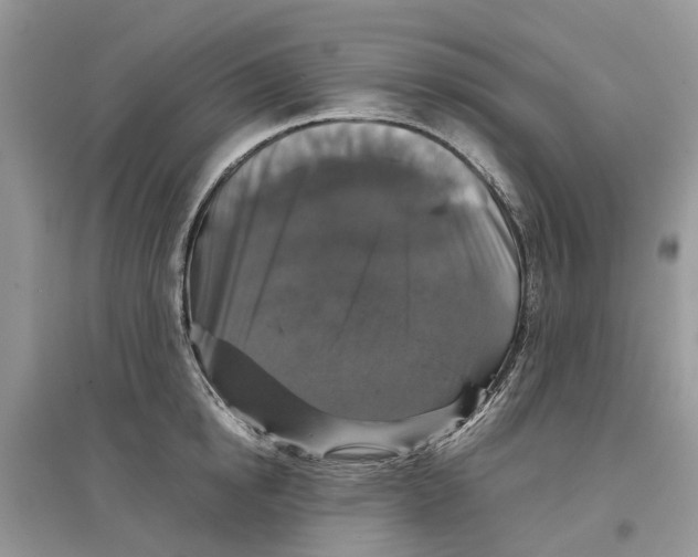 X0000097300854200803071751