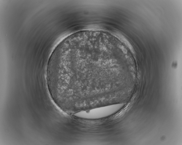 X0000097300855200803071751