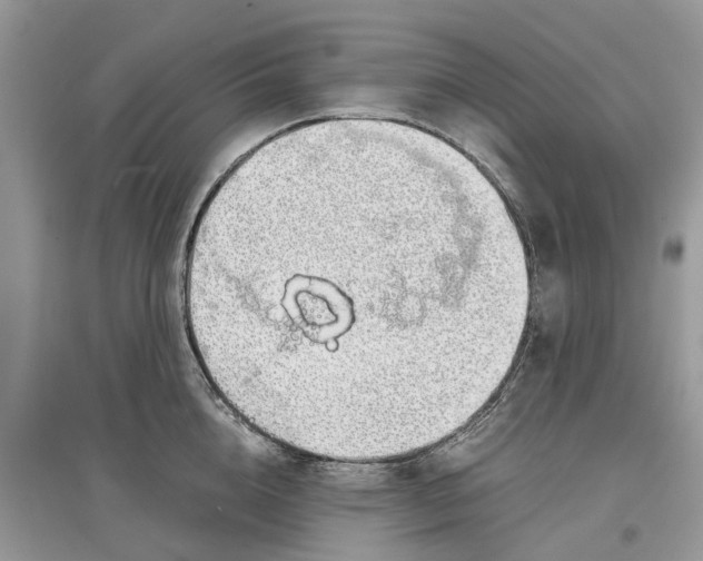 X0000097300856200803071751