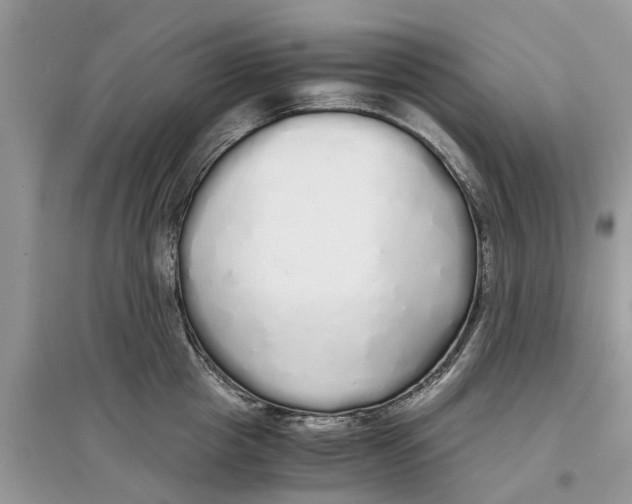 X0000097300857200803071751